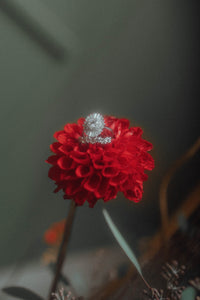 Radiant Art Deco Halo Ring